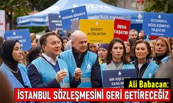 Babacan: İstanbul Sözleşmesi'ni geri getireceğiz