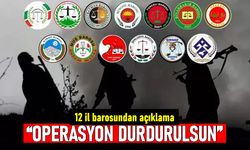 Doğudaki 12 il barosundan açıklama: Operasyonlar sürerse can kaybı artacak