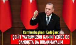 Erdoğan: Şehit olan yavrumuzun kanını yerde de sandıkta da bırakmayalım