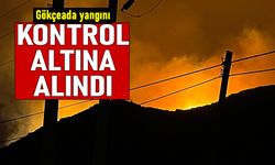 Gökçeada'daki yangın kontrol altına alındı