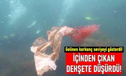 Karadeniz'de korkunç keşif: 2 milimetreden küçük canlıdan bile plastik çıktı