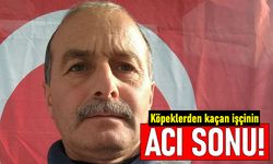 Köpeklerden kaçan ve araba çarpan temizlik işçisi Metin Tirkil öldü