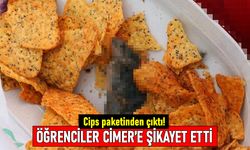 Öğrenciler CİMER'e şikayet etti: Cips paketinden çıkan fare ölüsü gündemde