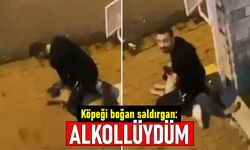 Sarıyer'de köpeği eliyle boğmaya çalışan saldırgan: Alkollüydüm