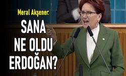 Akşener: Aç yatmayı bilirdin, sana ne oldu Erdoğan?