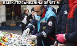 Balık Tezgâhlarına Denetim