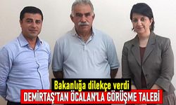 Dilekçe verildi: Demirtaş, Öcalan'la görüşme talep etti