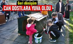 Geri dönüşüm, sokak hayvanlarına yuva olarak döndü