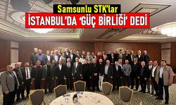 Samsunlu STK'lar İstanbul'da güç birliği dedi