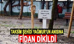 Taksim şehidi Yağmur’un anısına fidan dikildi