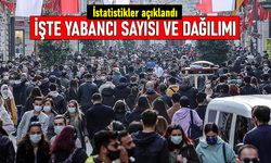 TÜİK açıkladı: Türkiye’deki yabancı nüfusun oransal dağılımı