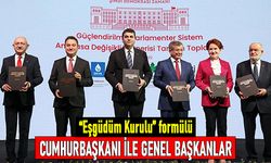 Yönetim için detaylar: Cumhurbaşkanı ve Eşgüdüm Kurulu formulü