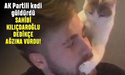 AK Partili kedi güldürdü: Sahibi Kılıçdaroğlu dedikçe ağzına vurdu
