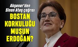 Akşener'den Sinan Ateş çağrısı: Bostan korkuluğu musun Erdoğan?