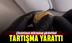 Çikolatanın mikroskop altındaki görüntüsü tartışma yarattı