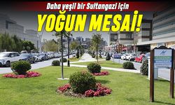 Daha yeşil bir Sultangazi için yoğun mesai