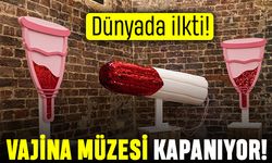 Dünyada ilkti: Vajina müzesi kapanıyor