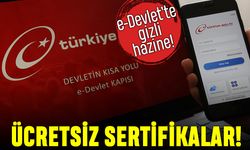E-Devlet ücretsiz sertifikalı eğitimlerle büyük hizmet veriyor
