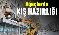 Esenyurt’un ağaçları kışa hazırlanıyor