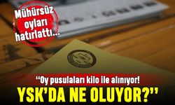 Karabat: Pusulalar kilo ile alınıyor, YSK'da ne işler dönüyor?