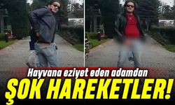 Kedi döven Aytuğ Koyuncu yaptığı hareketle gündemde