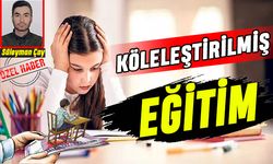 Köleleştirilmiş eğitim