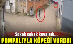 Köpeği sokak sokak kovaladı, pompalıyla vurup öldürdü
