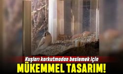 Kuşları beslemek için yapılan mükemmel tasarım