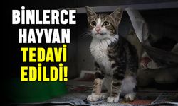 Maltepe’de binlerce hayvan tedavi edildi