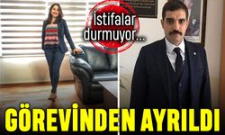 Sinan Ateş istifaları durmuyor: MHP'li genç avukat görevi bıraktı