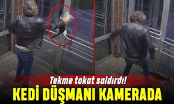 Tekme tokat saldırdı; Küçükçekmece'de kedi düşmanı kamerada