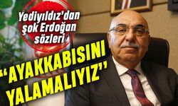 Yediyıldız'dan Erdoğan sözü: Ayakkabısını yalamalıyız