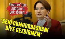 Akşener: Seni Cumhurbaşkanı diye gezdirmem