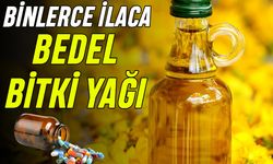 Binlerce İlaca Bedel Bitki Yağı