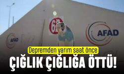 Depremden yarım saat önce öten muhabbet kuşu hayat kurtardı