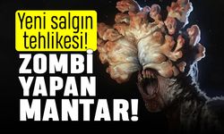 Dünyada yeni salgın tehlikesi: Zombileştiren mantar