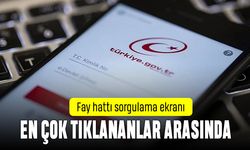 Fay hatları hangi şehirlerden geçiyor; Fay hattı sorgulama ekranı