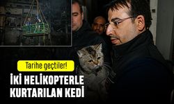 Mahsur kalan kediler tarihe geçti; Kediler için iki helikopter kaldırıldı