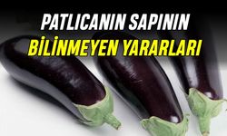 Patlıcan Sapının Bilinmeyen Faydaları