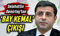 Selahattin Demirtaş'tan 'Bay Kemal' çıkışı