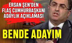 Ersan Şen'den cumhurbaşkanı adaylık açıklaması