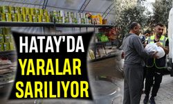 Hatay’da Yaralar Sarılıyor