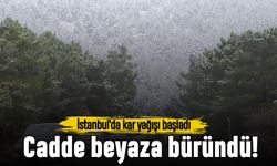 İstanbul'un birçok noktasında kar yağışı