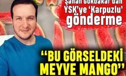 Şahan Gökbakar’dan YSK’ye ‘Karpuzlu’ gönderme