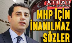 Selahattin Demirtaş'tan MHP için çok güzel sözler