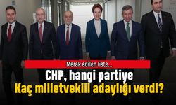 CHP diğer partilere kaç milletvekili adaylığı verdi?