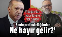 Erdoğan'dan Naci Görür'e: Senin profesörlüğünden ne hayır gelir?