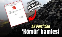 Seçime 15 gün kala AK Parti'den ücretsiz kömür hamlesi
