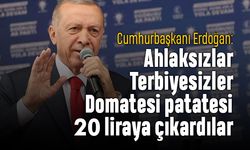 Erdoğan: Ahlaksızlar, terbiyesizler domatesi patatesi 20 liraya çıkardılar