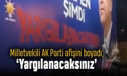 TİP Milletvekili Ahmet Şık AK Parti afişini boyadı; 'Yargılanacaksınız'